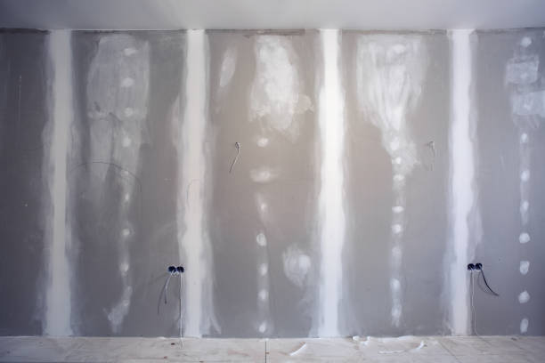 Best Wallpaper Removal and Painting  in Carrollton, AL